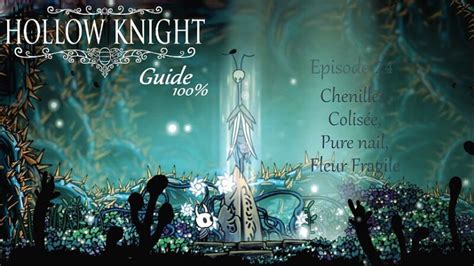 Hollow Knight Delicate Flower Quest Guide