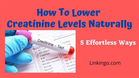 How To Lower Creatinine Levels Quickly And Naturally 5 Simple Methods