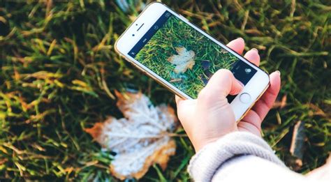 See full list on backgarden.org The 'Shazam For Plantlife' App, Lets You Identify That ...