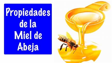 El apartamento es un bajo de 110 m2: PROPIEDADES DE LA MIEL DE ABEJA - Propiedades y beneficios ...