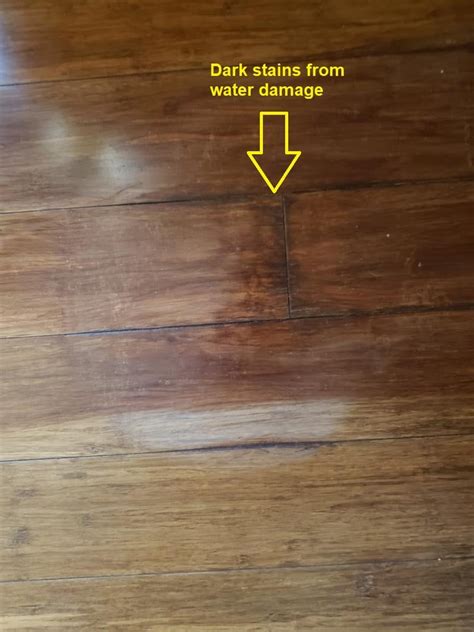 Common Flooring Installation Errors Learn With Ambient