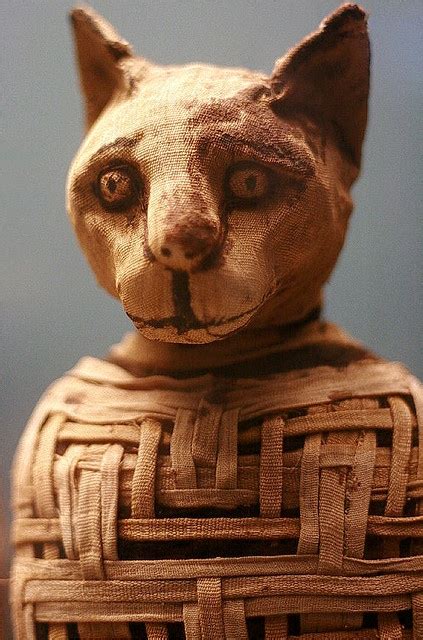 69 best mummies images on pinterest the mummy civilization and day of dead