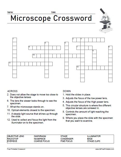 Microscope Parts Crossword Free Printable