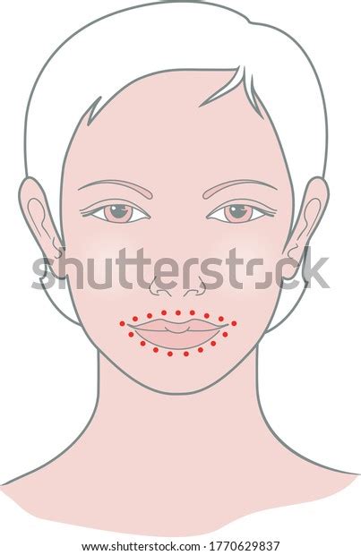 Shiatsu Points Face Massage Acupuncture Female Stock Vector Royalty Free 1770629837 Shutterstock