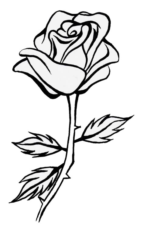 999 Flower Clipart Black And White Free Download Cloud Clipart
