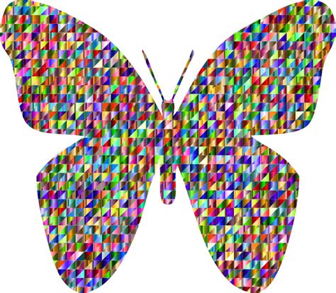 Chromatic Triangular Retro Floral Butterfly Geometric