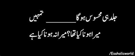 Pin By Malik Sahib On Dastan E Ishaq Poetry Quotes Poetry Urdu Poetry