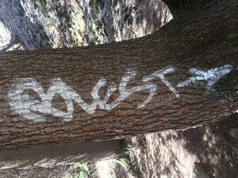 Forest Service Mulls Closing Hanging Lake After Vandalism The Denver Post