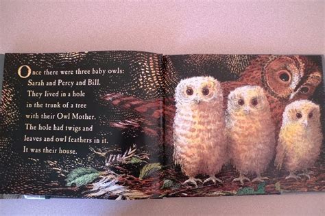 Childrens Book Owl Babies The Daily Owl