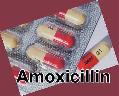 Amoxicillin Pediatric Media Dosing American Express