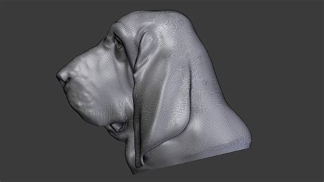3d Model Dog Head