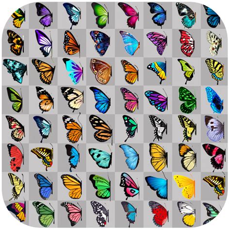 Butterfly Connect Game Apps On Google Play