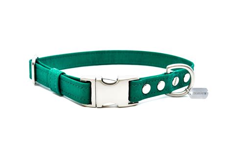 emerald-cork-dog-collar-dog-collar,-eco-friendly-dog-collars,-dog-neck