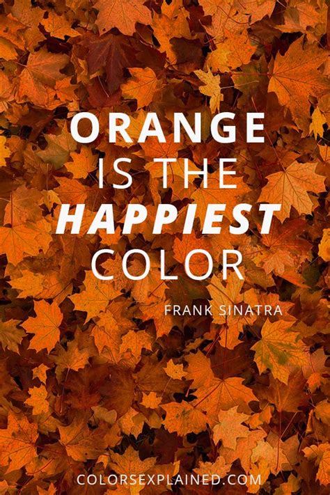 Meaning Of The Color Orange Symbolism Common Uses And More