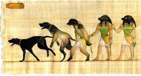 History Buff Read About Animals In Ancient Egyptian Culture Animals