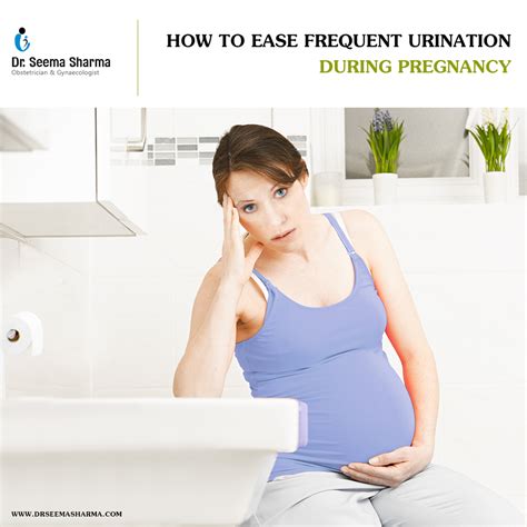 Frequent Urination During Pregnancy Dr Seema Sharma
