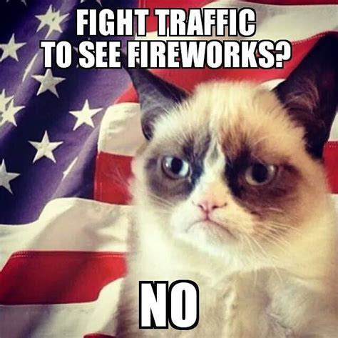 Fight Traffic To See Fireworks No Grumpy Cat Humor Grumpy Cat Meme