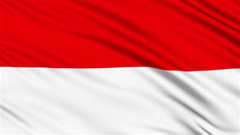 Civil and state flag and ensign (from 4 apr 1881). Monaco Flag, with Real Structure Stock Footage Video (100% ...