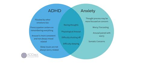 Adhd And Anxiety Adults — Addept