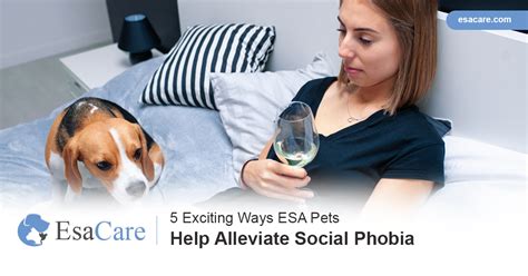 5 Exciting Ways Esa Pets Help Alleviate Social Phobia Esa Care