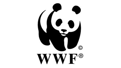 3 Questions With The World Wildlife Fund Global Game Changers Student
