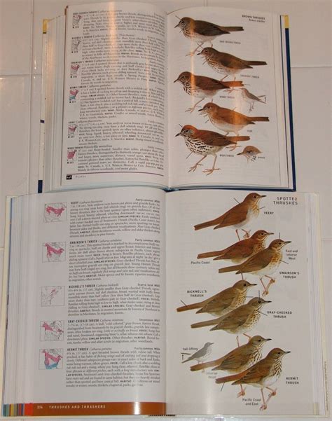 First Look Peterson Field Guide To Birds Of North America