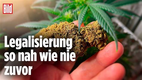 cannabis legalisierung ist kiffen in deutschland bald legal youtube