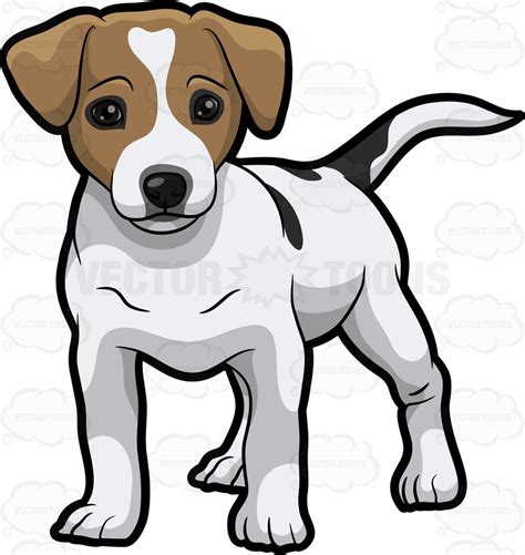 A Jack Russell Terrier Trying To Get Attention Clipart Cartoons By 250