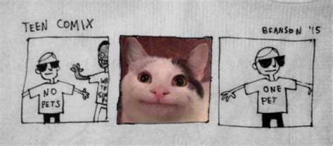 Polite Cat Meme Drawing