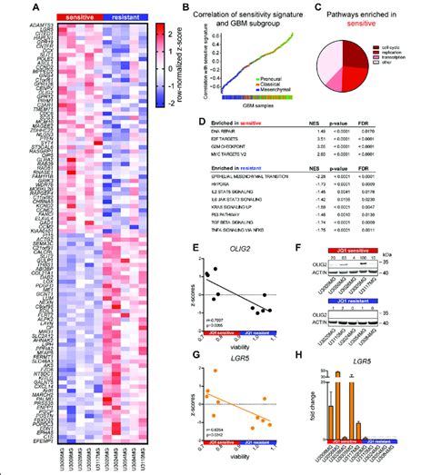 Expression Profiling And Comparison Of Jq1 Sensitive And Resistant