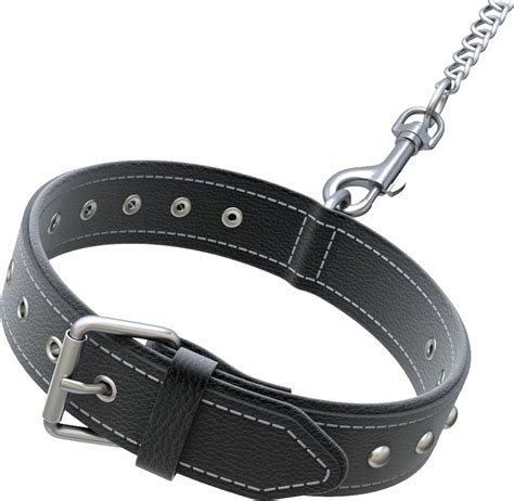 Collar De Perro Png Png Image Collection