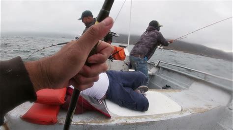Pesca En Panga En Arbolitos Ensenada B C Con El Capitan Daniel Ponce