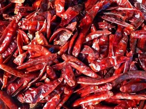 A Grade Dry Red Chilli At Rs 150kg Dry Red Chilli In Warangal Id