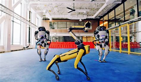 Los Robots De Boston Dynamics No Solo Bailan Las Furias Magazine Revista Cultural Y Feminista