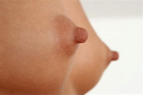 Perky Nipples Pics Pic Of 47