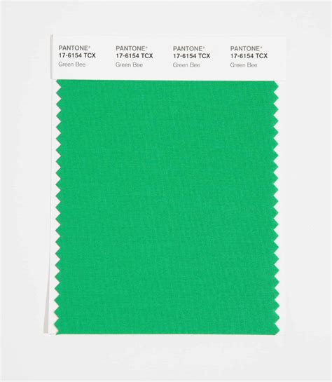 Pantone Smart Color Swatch Card 17 6154 Tcx Green Bee Columbia Omni