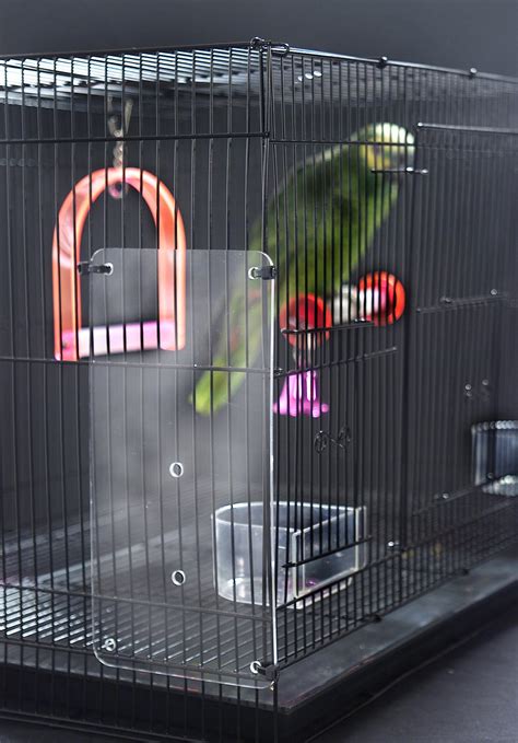 bird cage seed guard acrylic birdcage design ideas