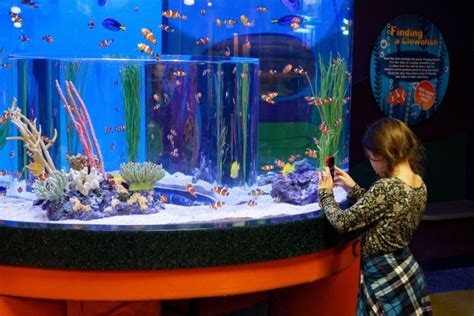 50 Best Aquariums In The World 2023 Tourscanner Eu Vietnam Business