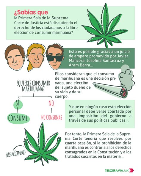 Avanza La Legalización Del Uso Recreativo De La Marihuana En México