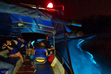 During this relaxing boat ride, you'll witness pitch black water get illuminated by blue phosphorescent light. Sekinchan, Bukit Melawati, and Kuala Selangor Tour - Klook ...