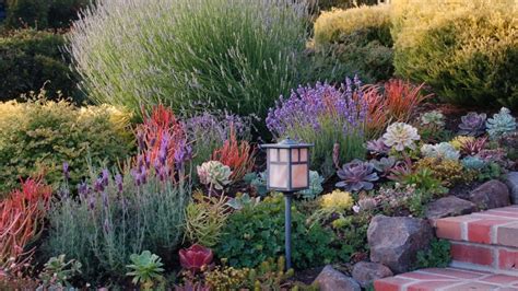 Landscaping Small Front Yards With Native Plants