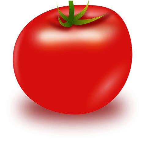 Free Clipart Vector Tomato Anonim76