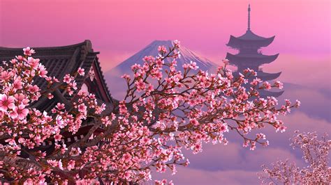 Japan Sakura Tree Wallpaper