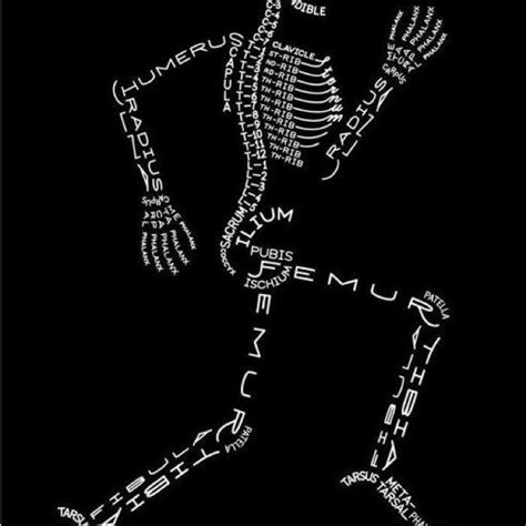 Word Art Meets Anatomy Anatomy Bones Nurse Nursing School