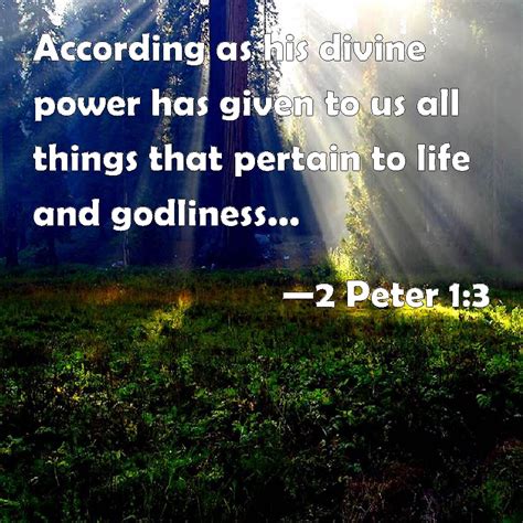 2 Peter 13 According As His Divine Power Has Given To Us All Things