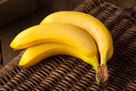 Raw Organic Bunch Of Bananas Stock Photo Image Of Nutrition
