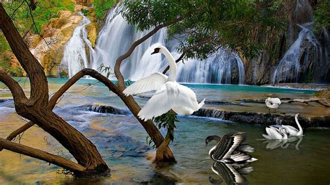 Beautiful Background With Staggered Waterfall White And
