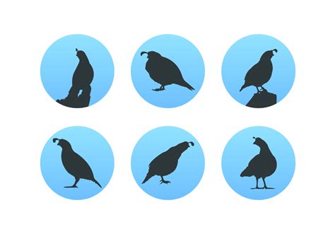 Quail Silhouettes Free Vector Pack 161274 Vector Art At Vecteezy