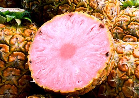 Del Montes Pink Pineapple Now Available The Petri Dish