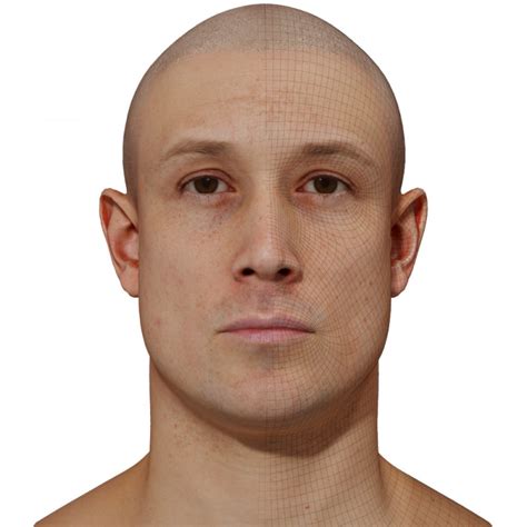 Male 3d Model Retopologised Head Scan 48